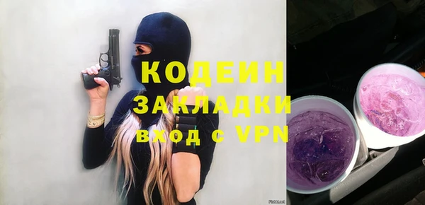 прущие грибы Снежногорск
