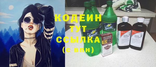 прущие грибы Снежногорск