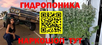 хмурый Балашиха